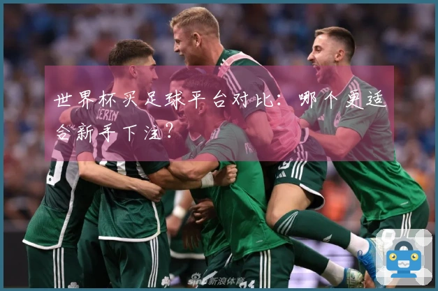 世界杯买足球平台对比：哪个更适合新手下注？