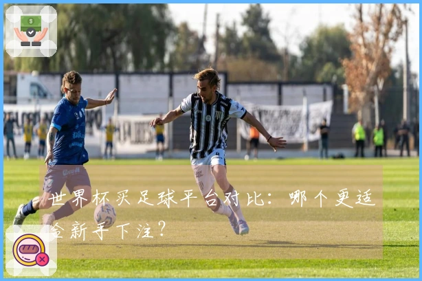世界杯买足球平台对比:哪个更适合新手下注?